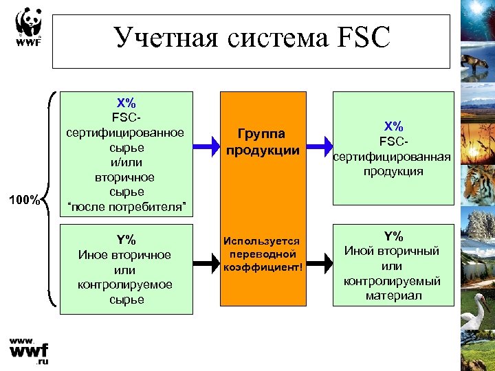 Учетная система FSC 100% X% FSCсертифицированное сырье и/или вторичное сырье “после потребителя” Y% Иное