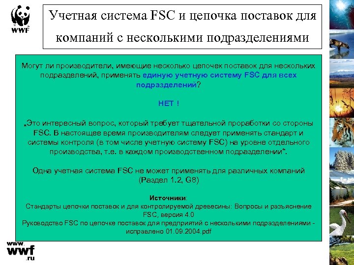 Учетная система FSC и цепочка поставок для компаний с несколькими подразделениями Могут ли производители,