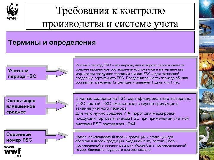 Требования к контролю производства и системе учета Термины и определения Учетный период FSC Скользящее