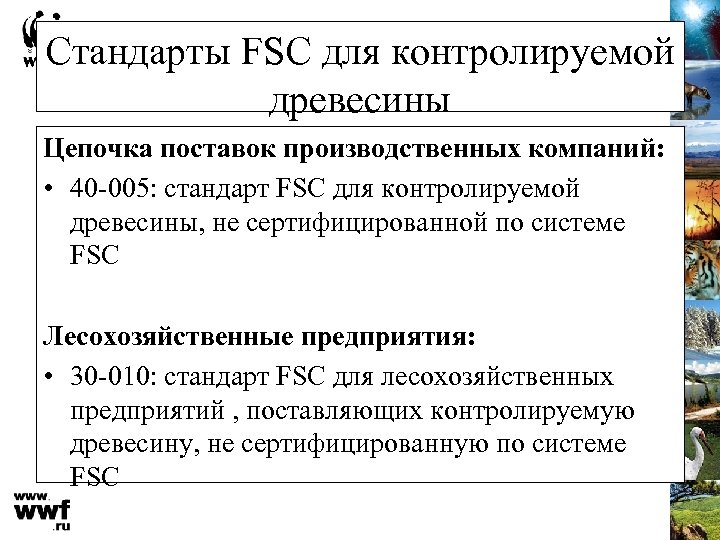 Стандарты FSC для контролируемой древесины Цепочка поставок производственных компаний: • 40 -005: стандарт FSC