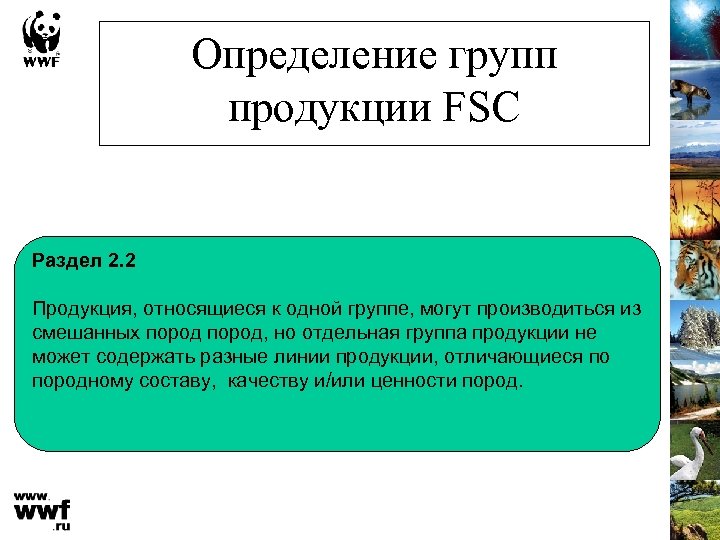 Определение групп продукции FSC Раздел 2. 2 Продукция, относящиеся к одной группе, могут производиться