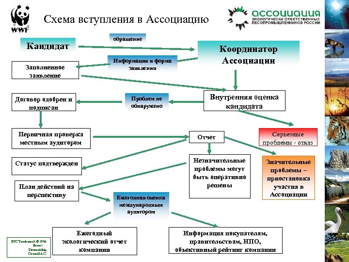 Схема вступления в Ассоциацию Кандидат Заполненное заявление обращение Информация и форма заявления Проблем не