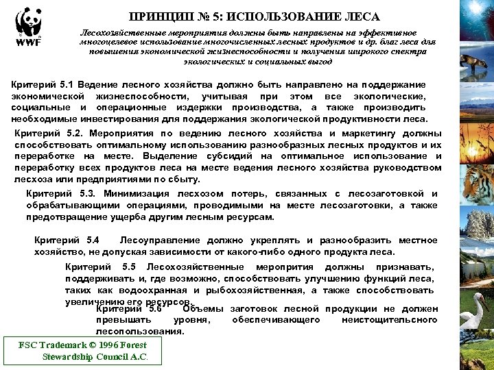 ПРИНЦИП № 5: ИСПОЛЬЗОВАНИЕ ЛЕСА Лесохозяйственные мероприятия должны быть направлены на эффективное многоцелевое использование