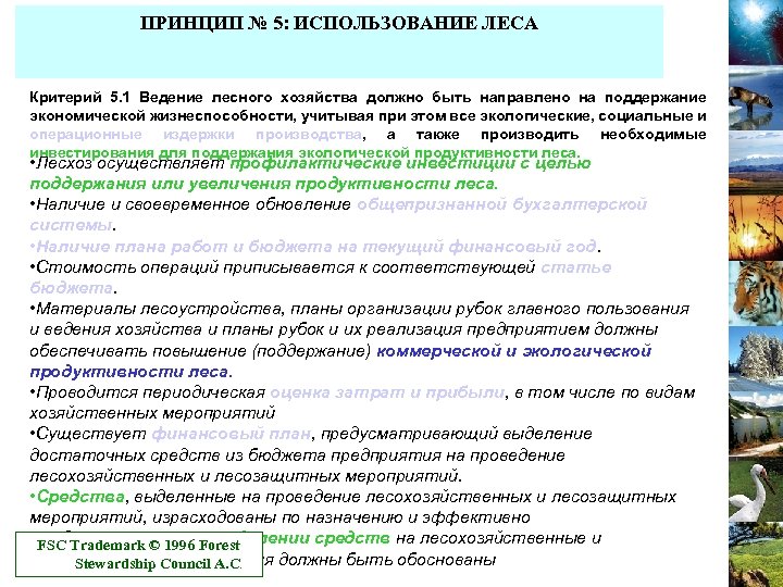 ПРИНЦИП № 5: ИСПОЛЬЗОВАНИЕ ЛЕСА Критерий 5. 1 Ведение лесного хозяйства должно быть направлено