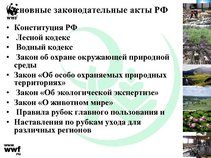 Основные законодательные акты РФ • • • Конституция РФ Лесной кодекс Водный кодекс Закон