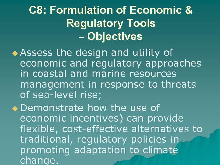 C 8: Formulation of Economic & Regulatory Tools – Objectives u Assess the design