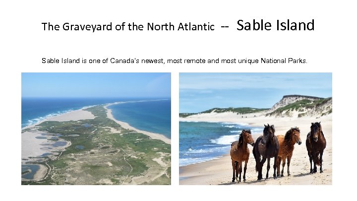 The Graveyard of the North Atlantic -- Sable Island is one of Canada’s newest,