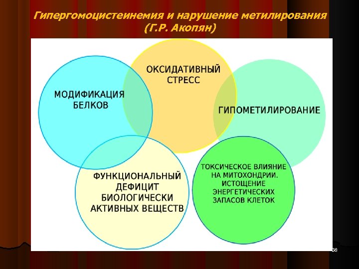 Гипергомоцистеинемия и нарушение метилирования (Г. Р. Акопян) 38 