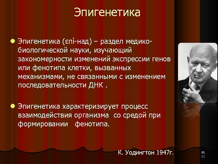 Эпигенетика. Эпигенетика это простыми словами. Эпигенетические факторы. Эпигенетические изменения примеры.