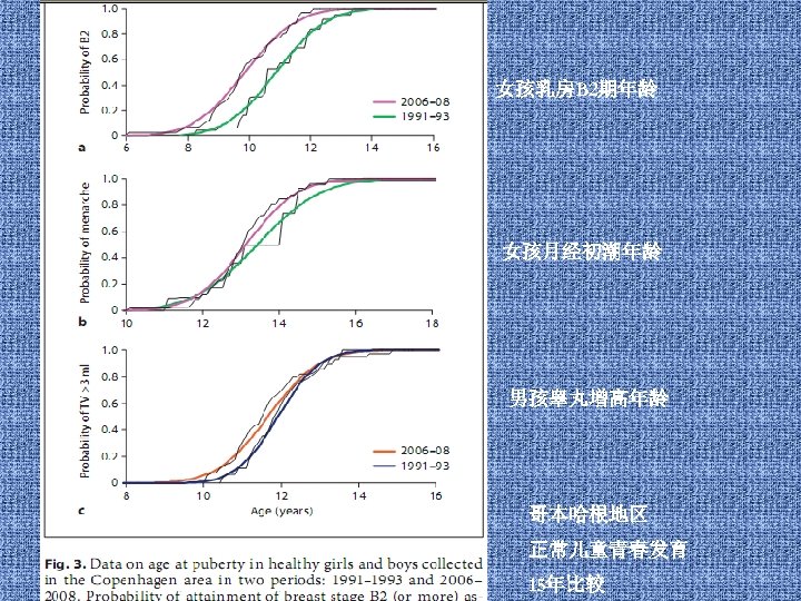 女孩乳房B 2期年龄 女孩月经初潮年龄 男孩睾丸增高年龄 哥本哈根地区 正常儿童青春发育 15年比较 