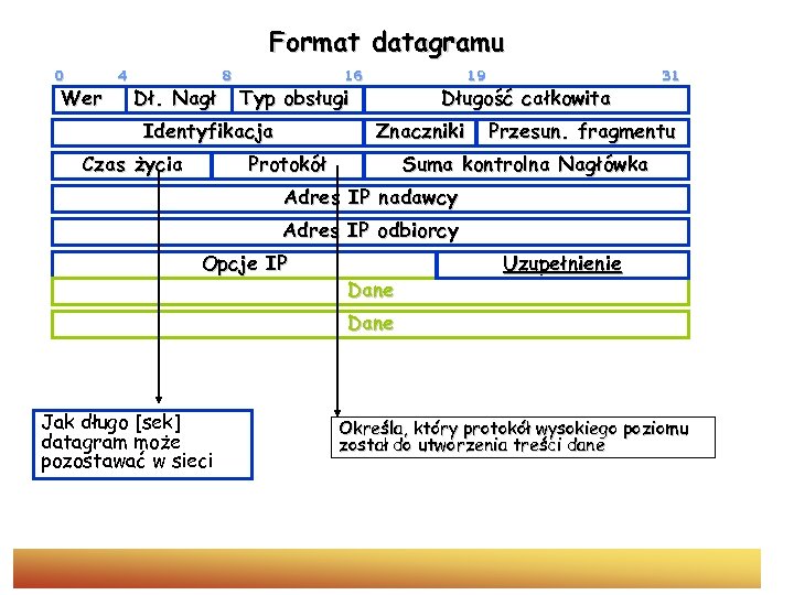 Format datagramu 0 Wer 4 Dł. Nagł 8 16 Typ obsługi Identyfikacja Czas życia