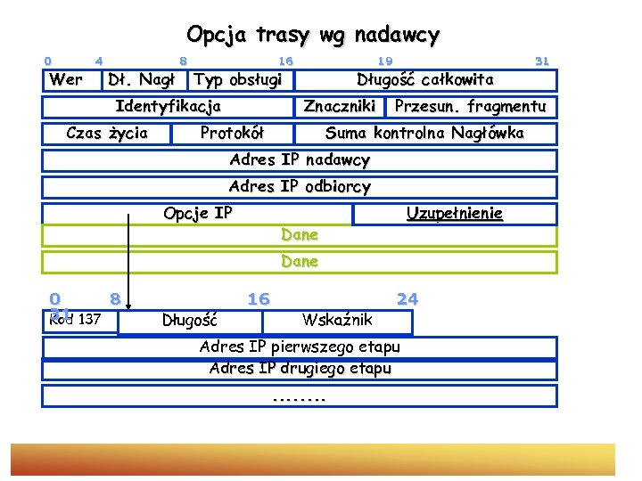 Opcja trasy wg nadawcy 0 Wer 4 Dł. Nagł 8 16 Typ obsługi Identyfikacja