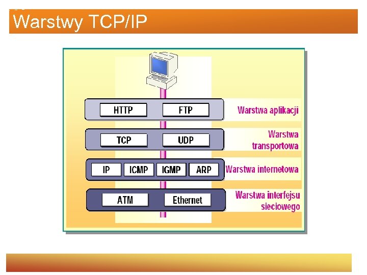 Warstwy TCP/IP 