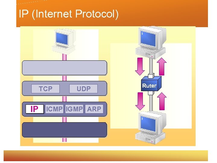 IP (Internet Protocol) TCP IP UDP ICMP IGMP ARP Ruter 