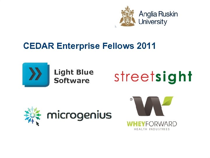 CEDAR Enterprise Fellows 2011 Light Blue Software 