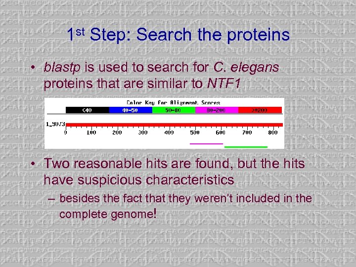 1 st Step: Search the proteins • blastp is used to search for C.