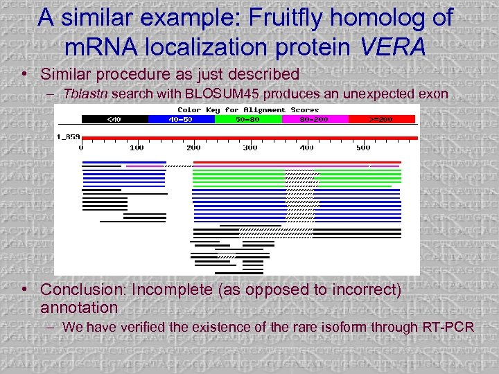 A similar example: Fruitfly homolog of m. RNA localization protein VERA • Similar procedure