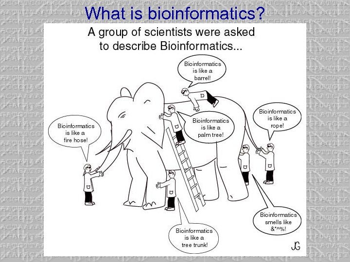 What is bioinformatics? 