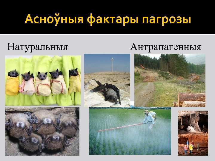Асноўныя фактары пагрозы Натуральныя Антрапагенныя 