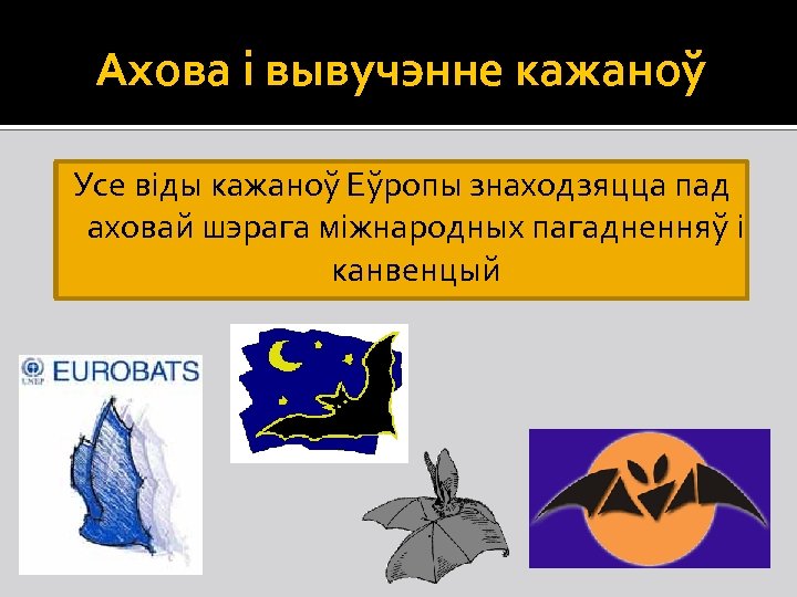 Ахова і вывучэнне кажаноў Усе віды кажаноў Еўропы знаходзяцца пад аховай шэрага міжнародных пагадненняў