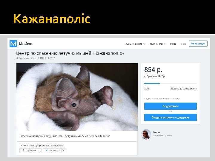 Кажанаполіс 