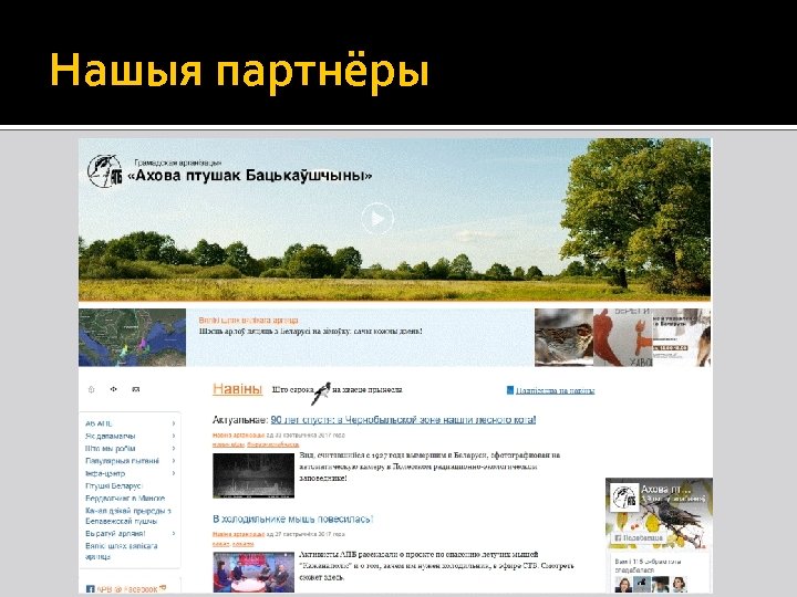 Нашыя партнёры 