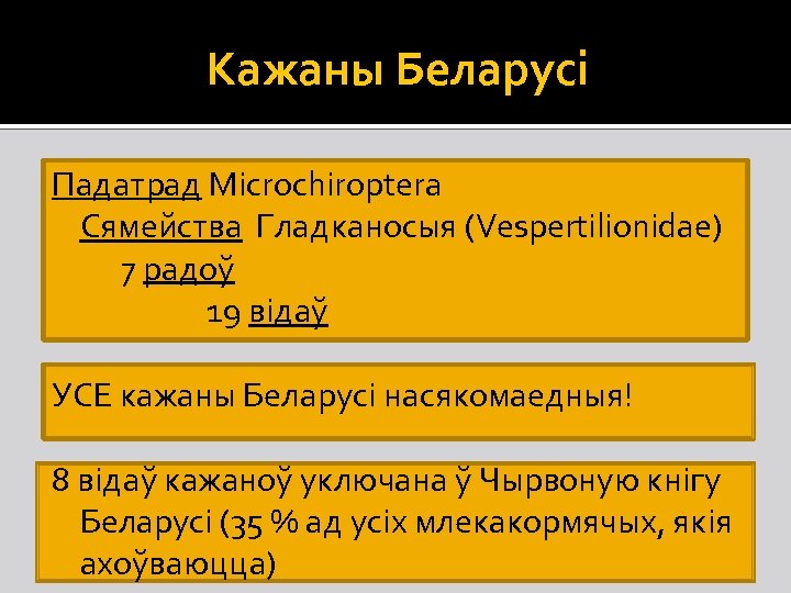 Кажаны Беларусі Падатрад Microchiroptera Сямейства Гладканосыя (Vespertilionidae) 7 радоў 19 відаў УСЕ кажаны Беларусі