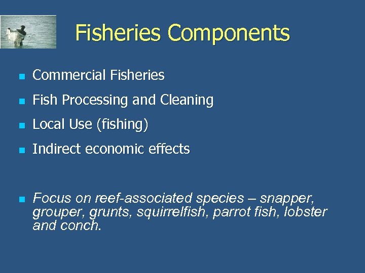 Fisheries Components n Commercial Fisheries n Fish Processing and Cleaning n Local Use (fishing)