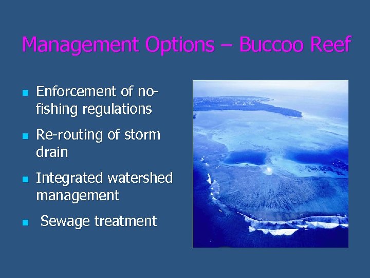 Management Options – Buccoo Reef n n Enforcement of nofishing regulations Re-routing of storm