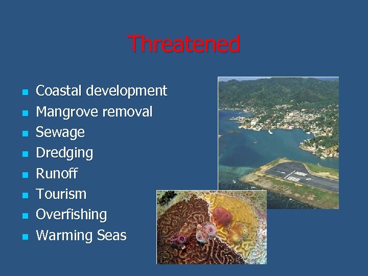 Threatened n n n n Coastal development Mangrove removal Sewage Dredging Runoff Tourism Overfishing