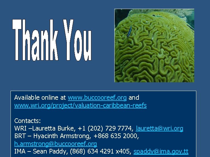 Available online at www. buccooreef. org and www. wri. org/project/valuation-caribbean-reefs Contacts: WRI –Lauretta Burke,