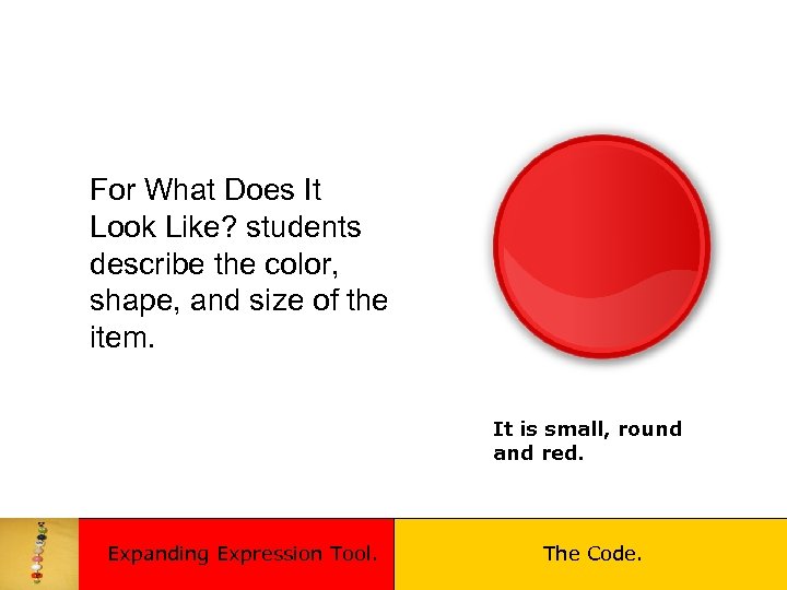 For What Does It Look Like? students describe the color, shape, and size of