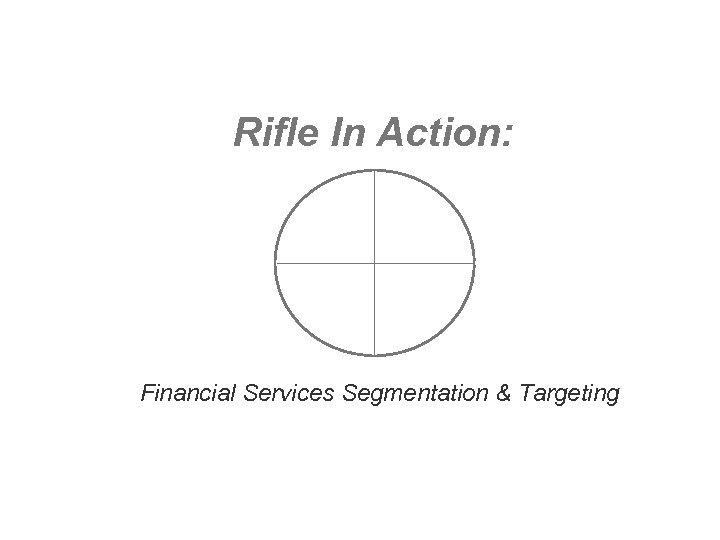 Rifle In Action: Financial Services Segmentation & Targeting 