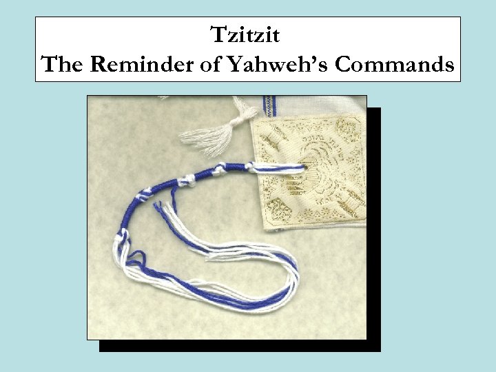 Tzitzit The Reminder of Yahweh’s Commands 
