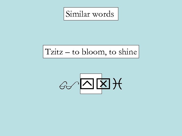 Similar words Tzitz – to bloom, to shine $yxi 