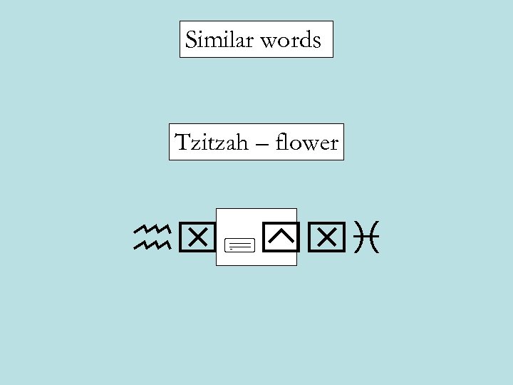 Similar words Tzitzah – flower hx; yxi 