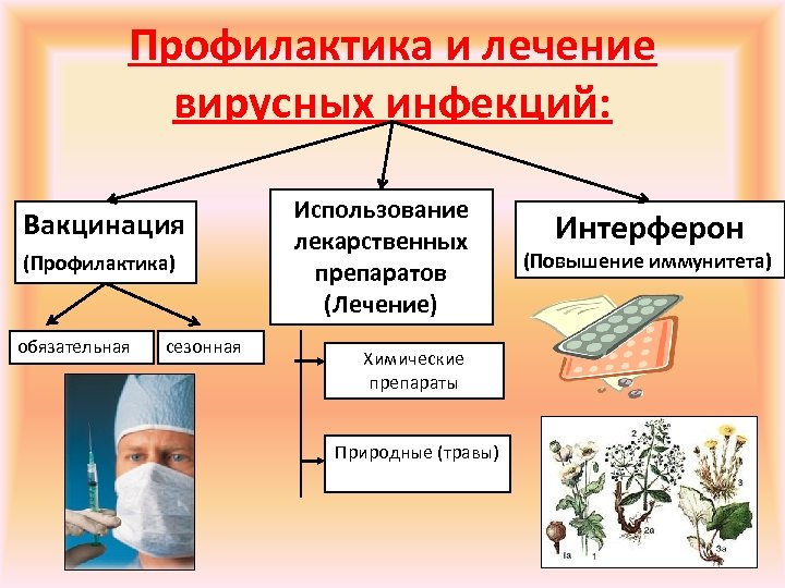 Профилактика и лечение вирусных инфекций: Вакцинация (Профилактика) обязательная сезонная Использование лекарственных препаратов (Лечение) Химические