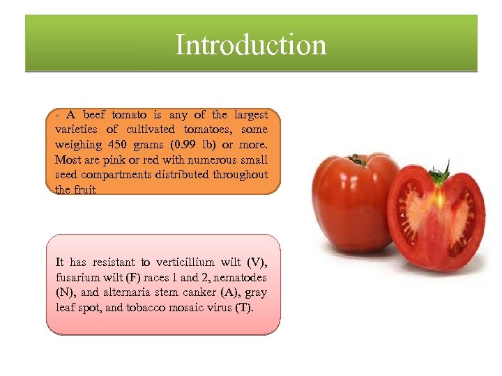 Introduction - A beef tomato is any of the largest varieties of cultivated tomatoes,