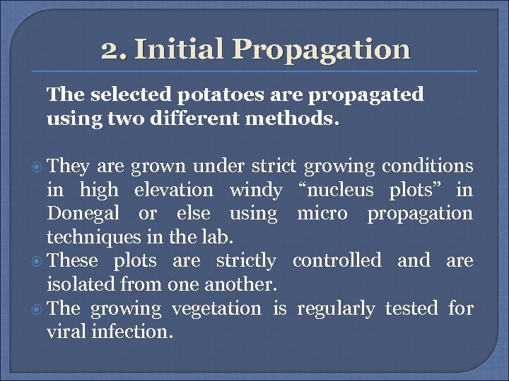 2. Initial Propagation The selected potatoes are propagated using two different methods. They are
