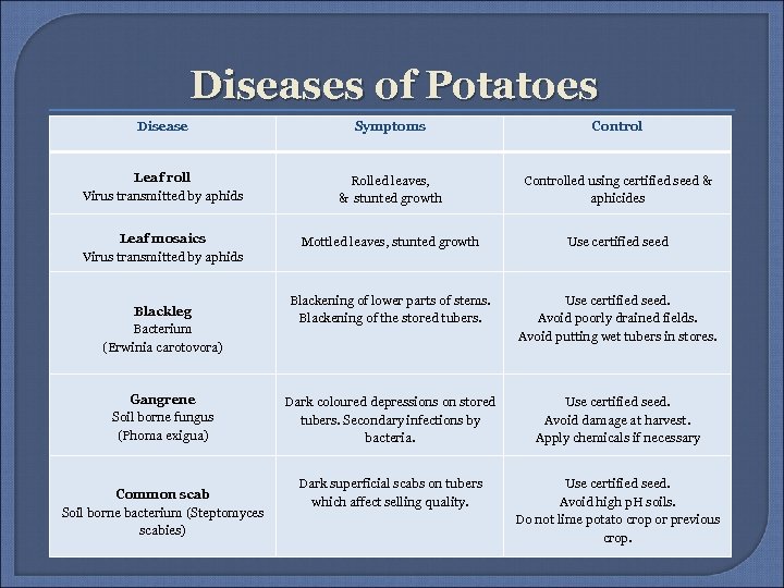 Diseases of Potatoes Disease Symptoms Control Leaf roll Virus transmitted by aphids Rolled leaves,
