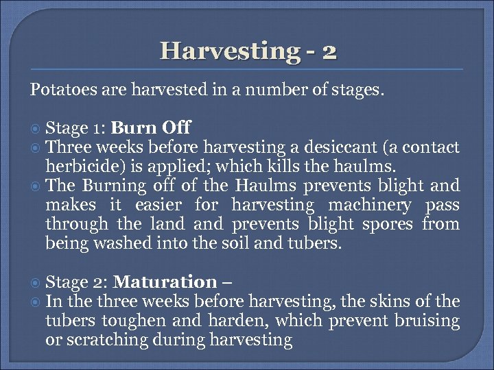 Harvesting - 2 Potatoes are harvested in a number of stages. Stage 1: Burn