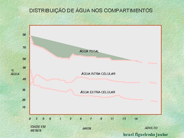 DISTRIBUIÇÃO DE ÁGUA NOS COMPARTIMENTOS 80 70 ÁGUA TOTAL 60 % ÁGUA 50 ÁGUA