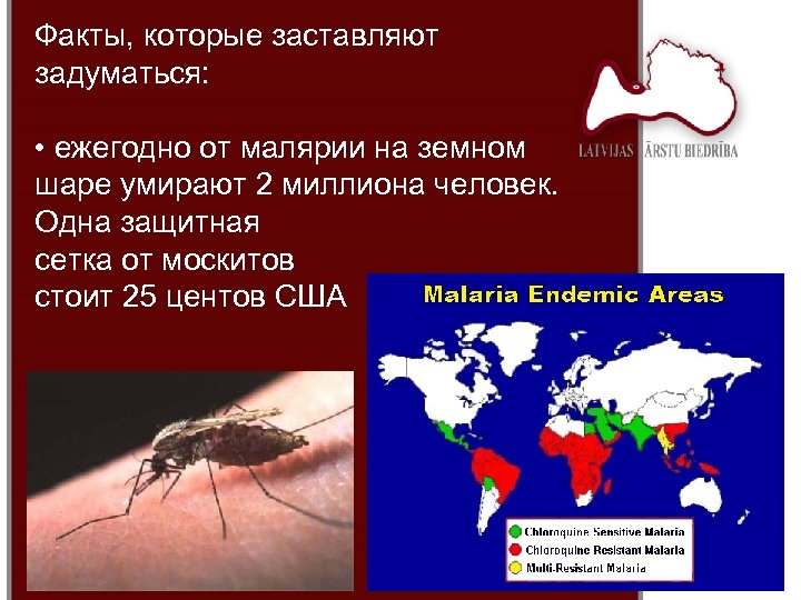 Факты, которые заставляют задуматься: • ежегодно от малярии на земном шаре умирают 2 миллиона