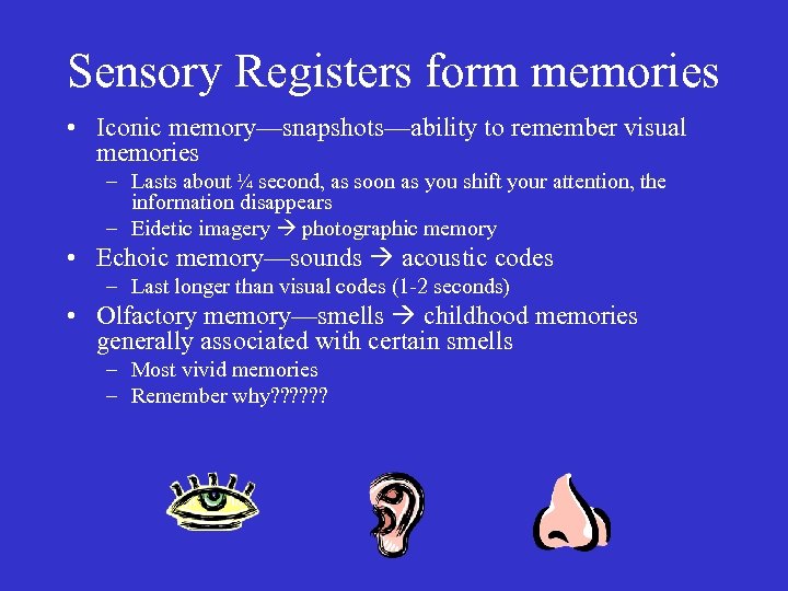 Sensory Registers form memories • Iconic memory—snapshots—ability to remember visual memories – Lasts about
