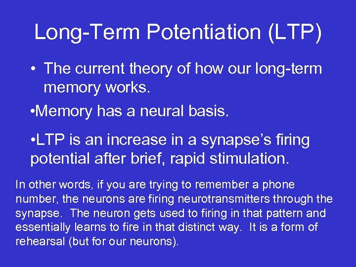Long-Term Potentiation (LTP) • The current theory of how our long-term memory works. •