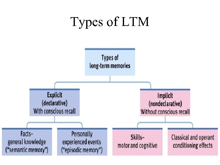 Types of LTM 