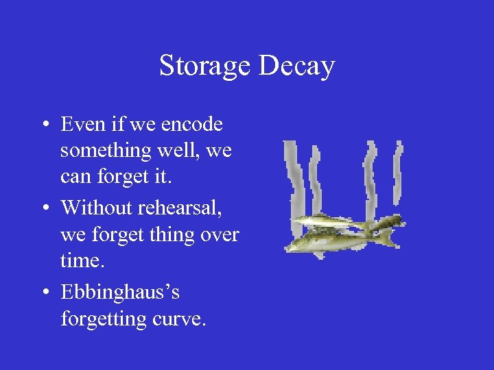 Storage Decay • Even if we encode something well, we can forget it. •