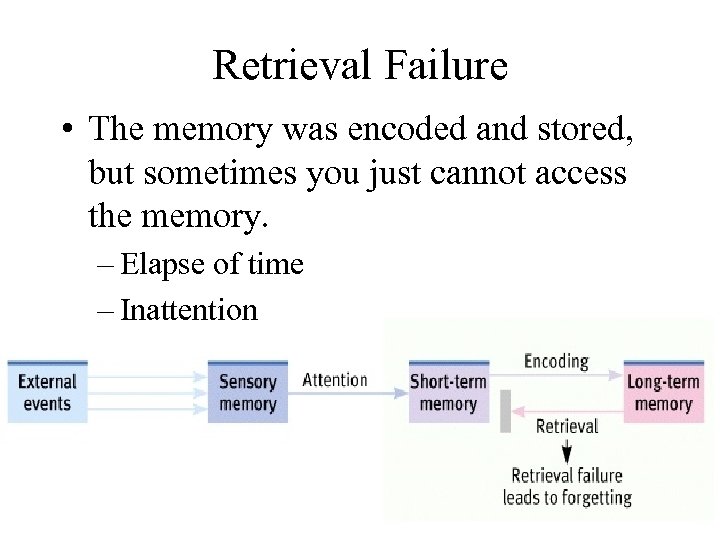 Retrieval Failure • The memory was encoded and stored, but sometimes you just cannot