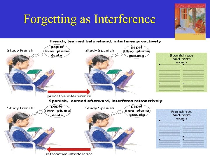 Forgetting as Interference 