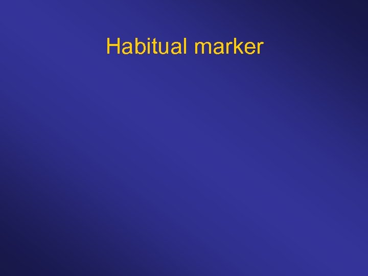 Habitual marker 